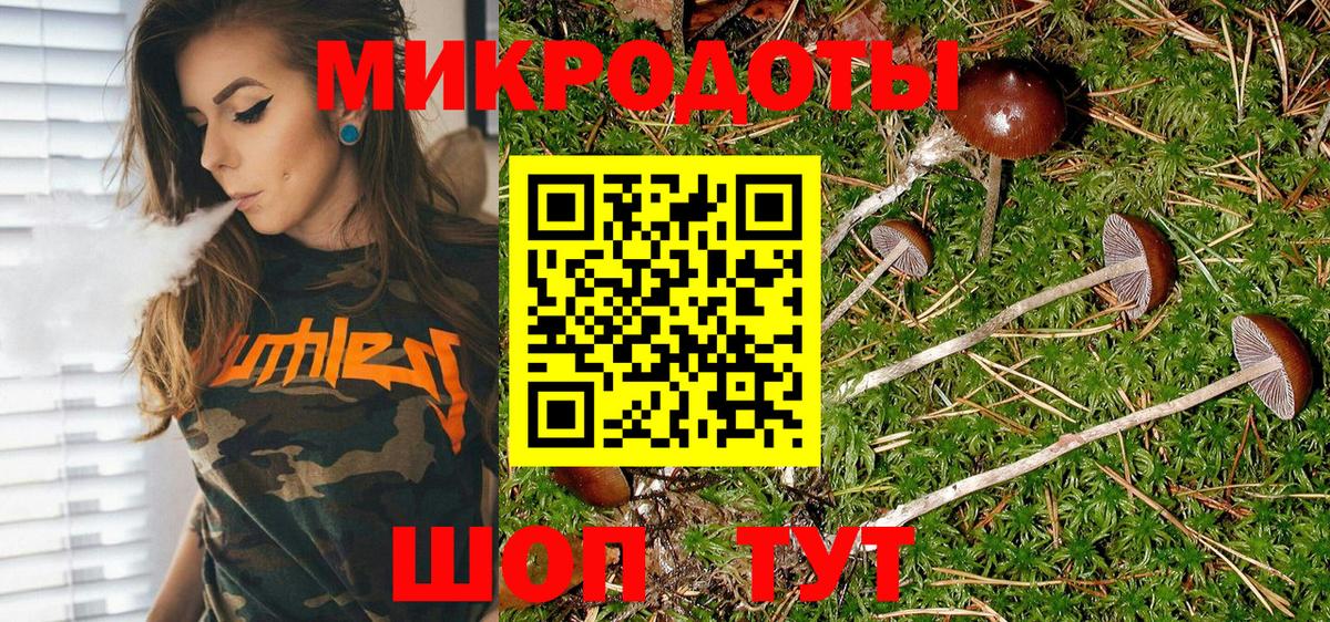 Галлюциногенные грибы MAGIC MUSHROOMS Елабуга