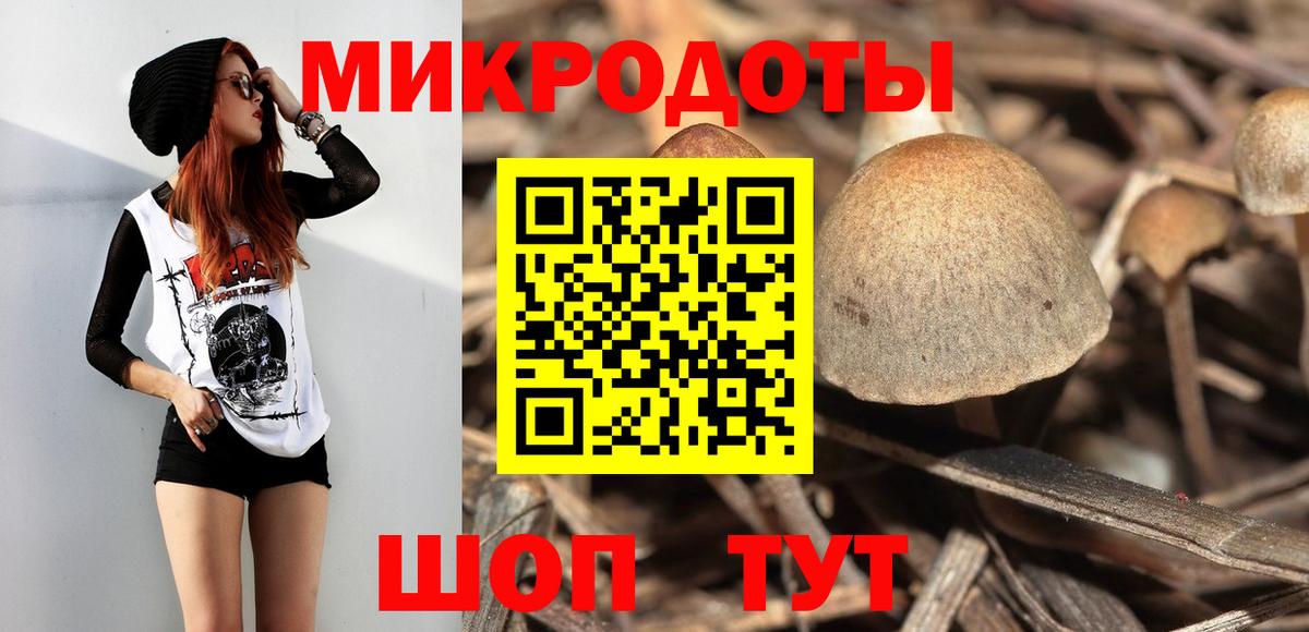 Псилоцибиновые грибы мицелий  Псилоцибиновые грибы мухоморы  Вход с VPN  Елабуга 
